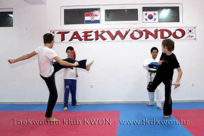 taekwondo kwon training